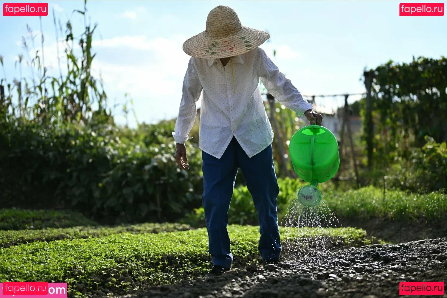 Linette Crown Onlyfans Photo Gallery 