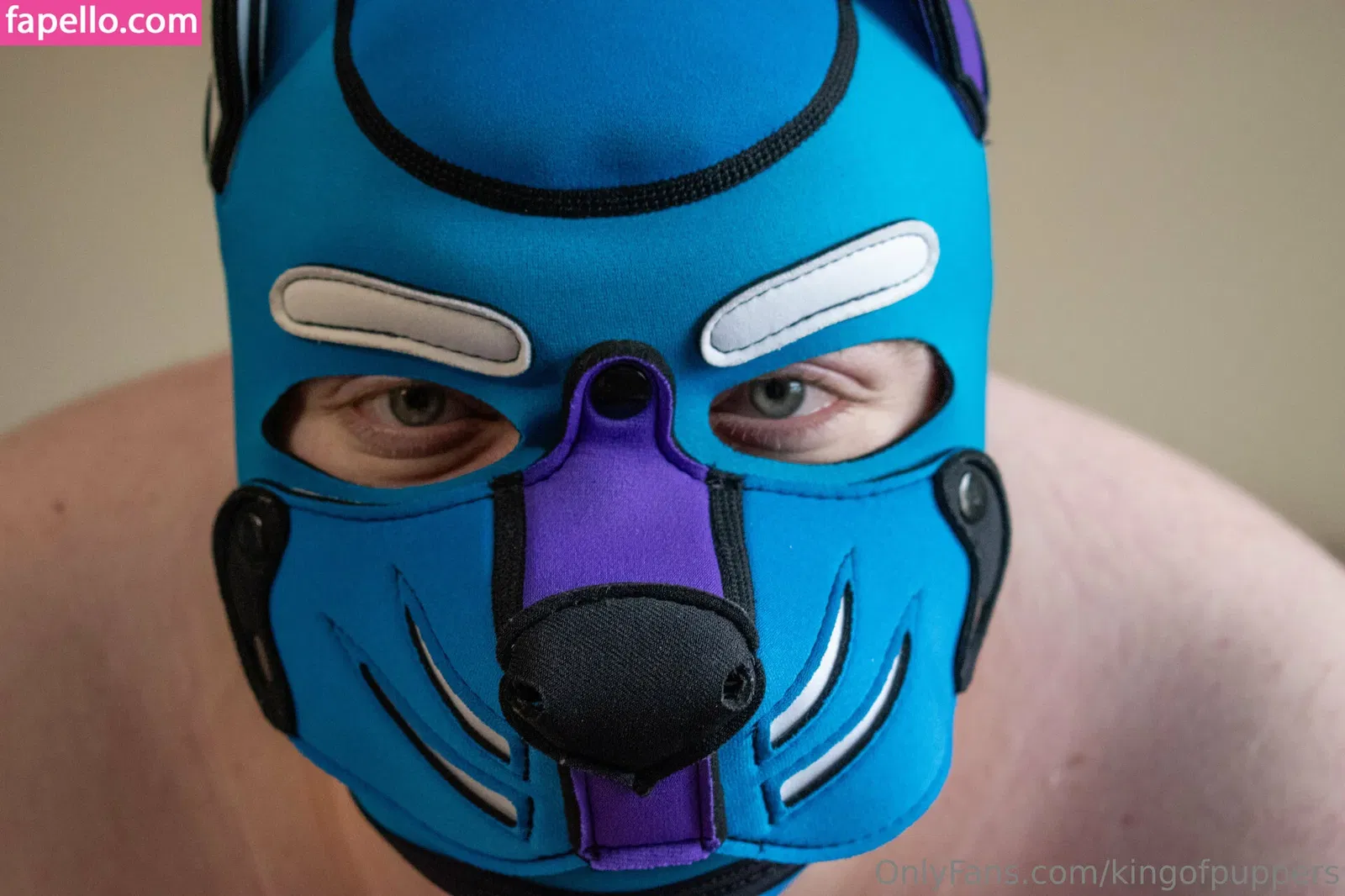 kingofpuppers Onlyfans Photo Gallery 