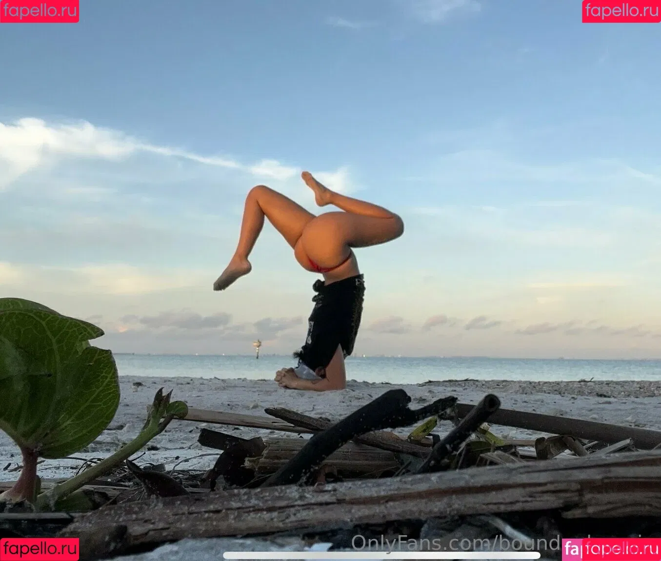 boundupbunnie Onlyfans Photo Gallery 
