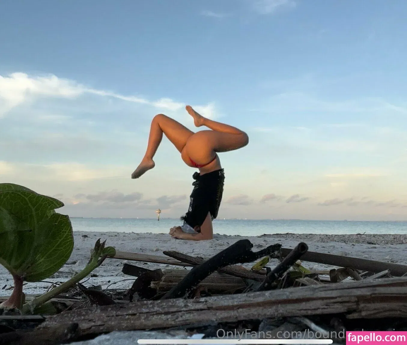 boundupbunnie Onlyfans Photo Gallery 