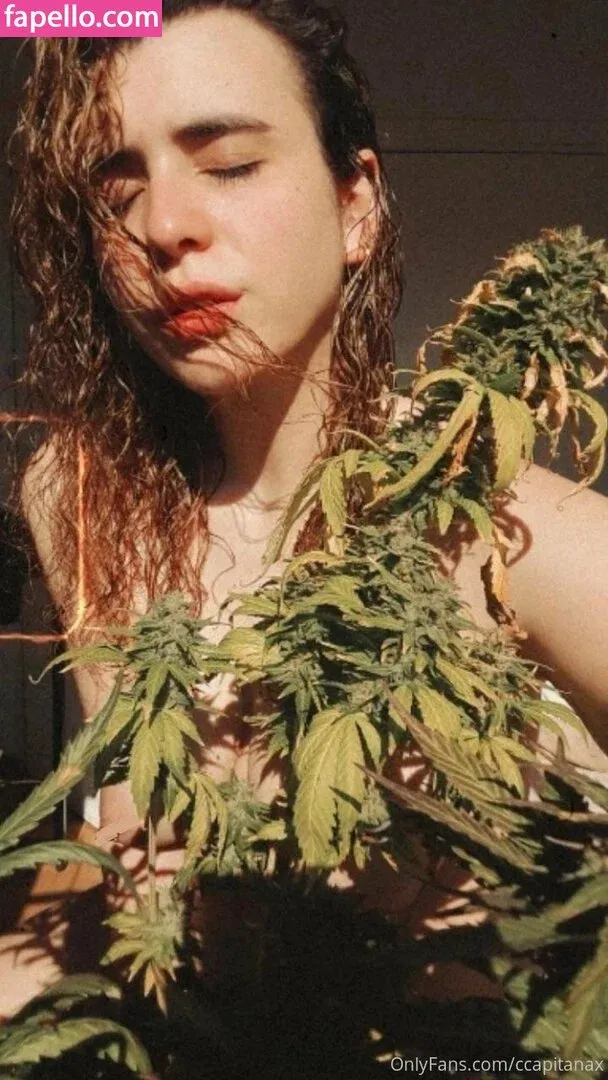 ccapitanax Onlyfans Photo Gallery 