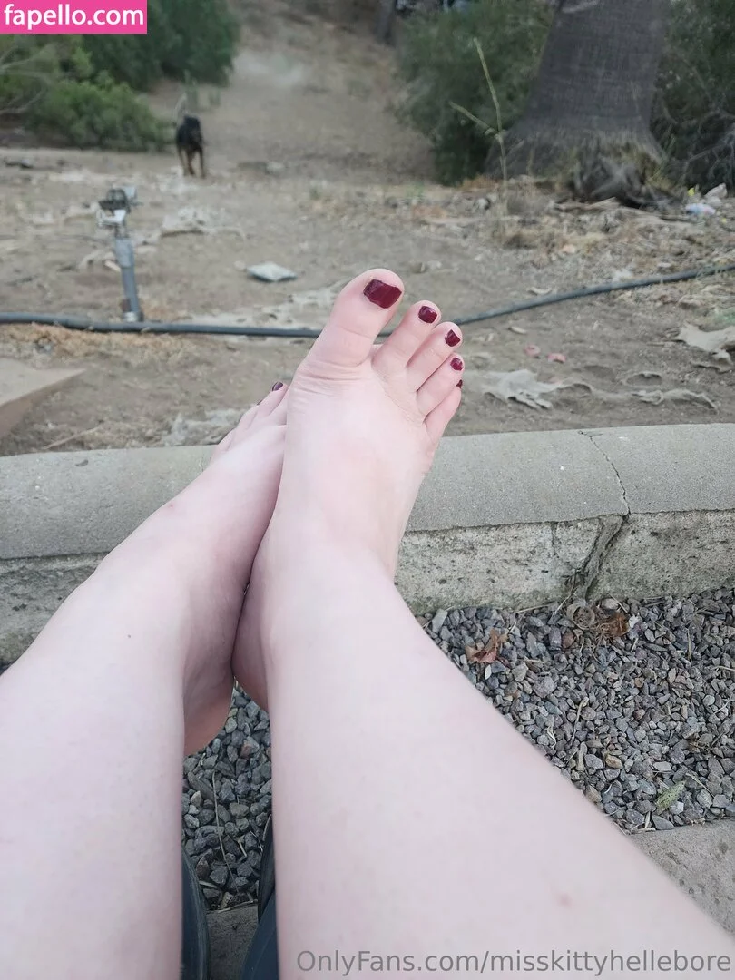 misskittyhellebore Onlyfans Photo Gallery 