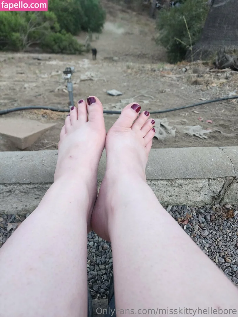 misskittyhellebore Onlyfans Photo Gallery 