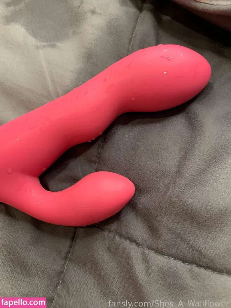 shes_a_wallflower Onlyfans Photo Gallery 