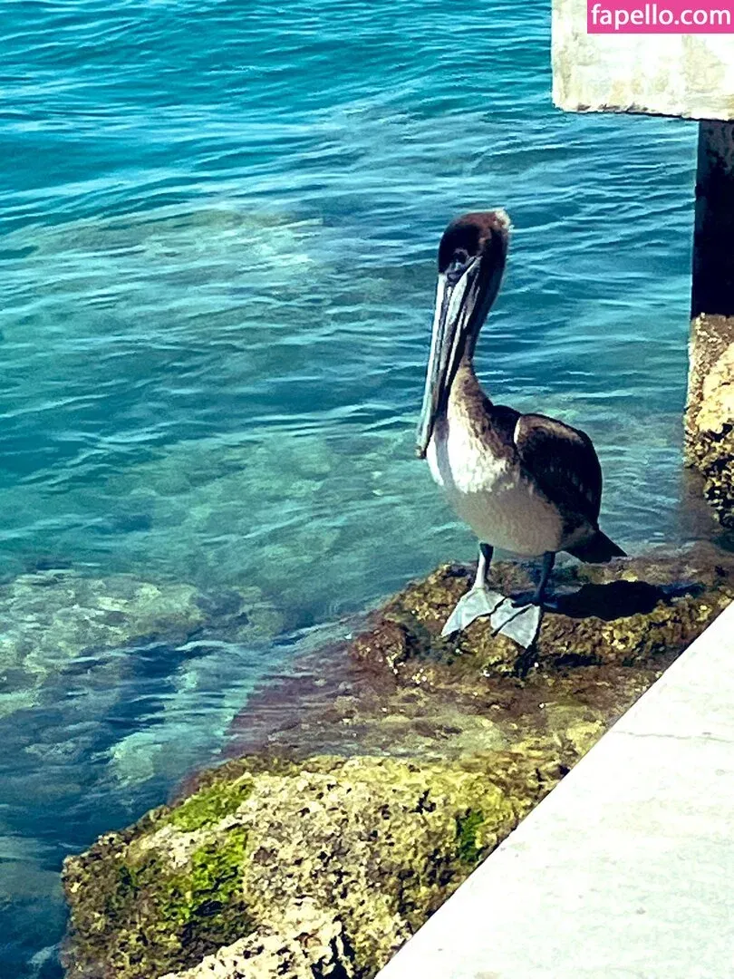 Swamp Barbee Onlyfans Photo Gallery 