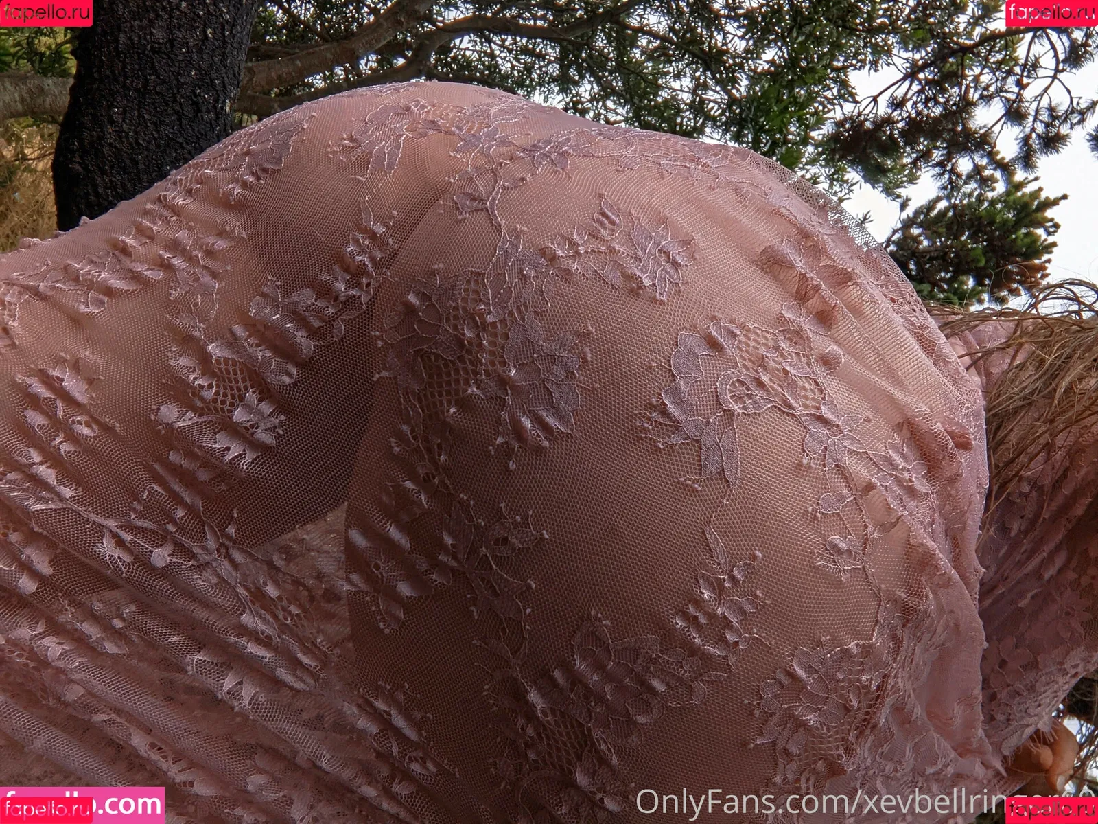 Xev Bellringer Onlyfans Photo Gallery 