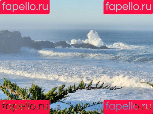 Xev Bellringer Onlyfans Photo Gallery 