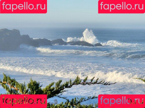 Xev Bellringer Onlyfans Photo Gallery 