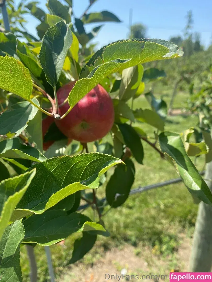 musemegara Onlyfans Photo Gallery 