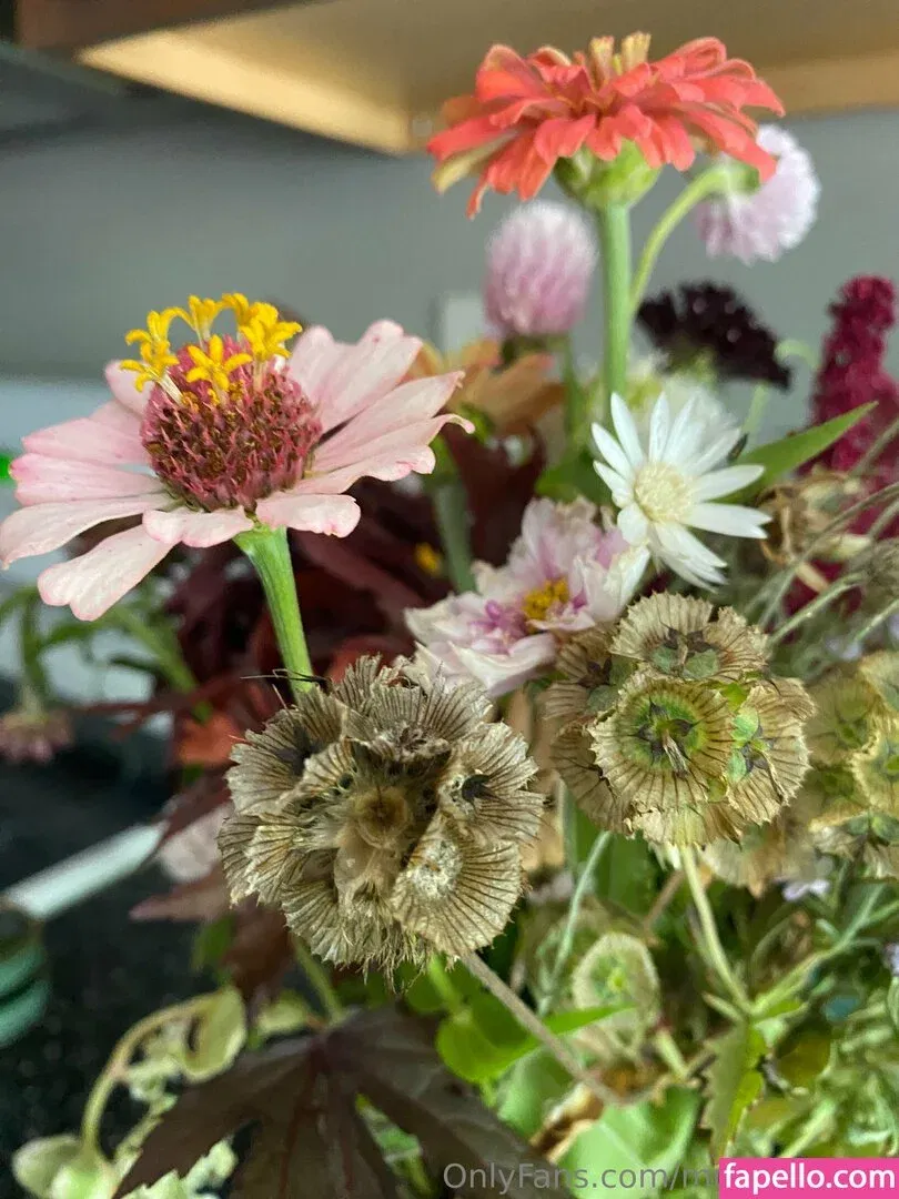 musemegara Onlyfans Photo Gallery 