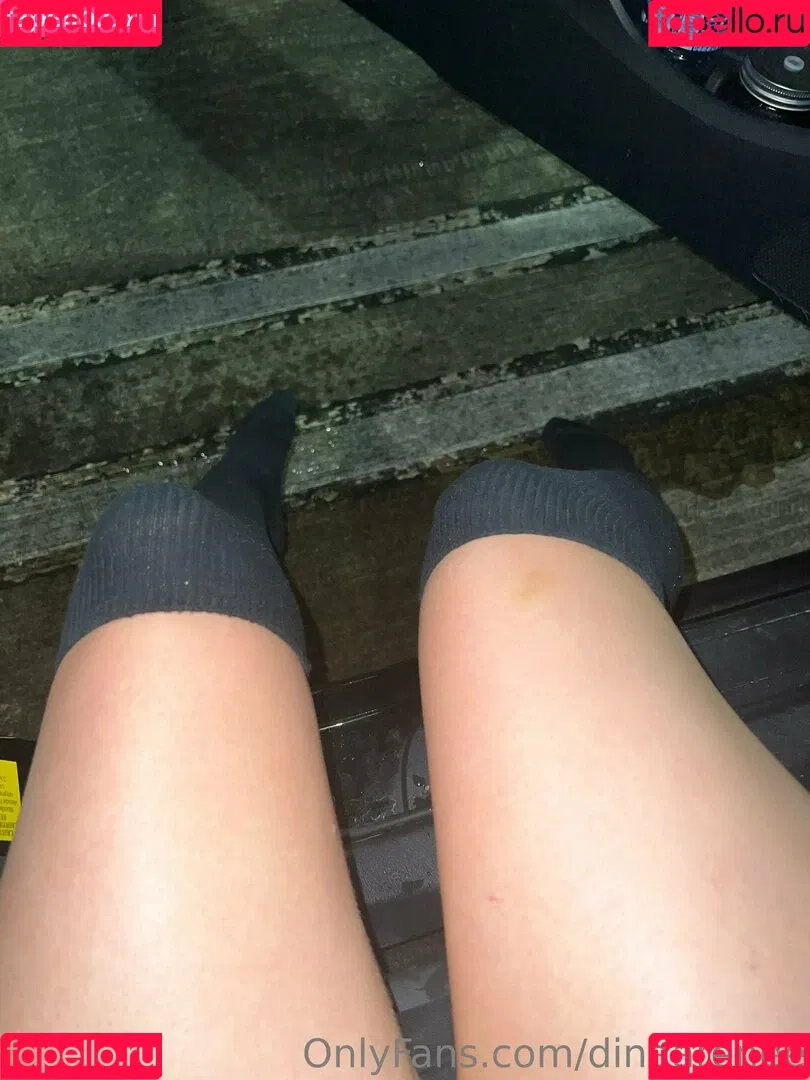 dinaarenee Onlyfans Photo Gallery 