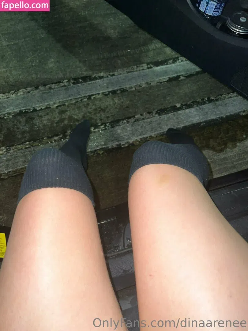 dinaarenee Onlyfans Photo Gallery 