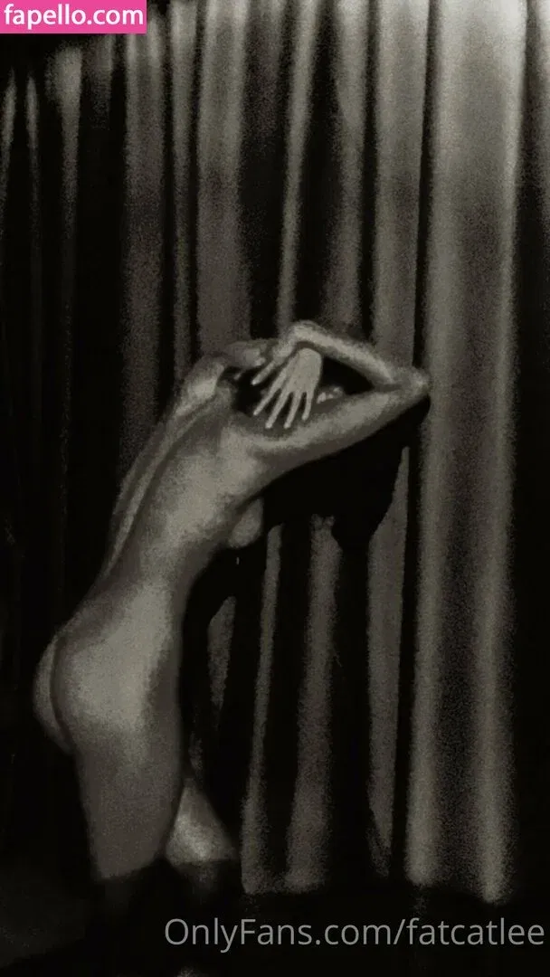 fatcatlee Onlyfans Photo Gallery 