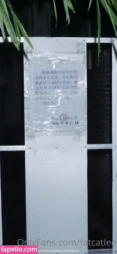 fatcatlee Onlyfans Photo Gallery 