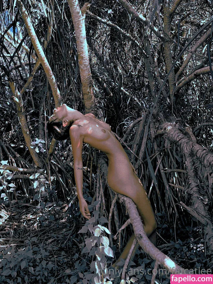 fatcatlee Onlyfans Photo Gallery 