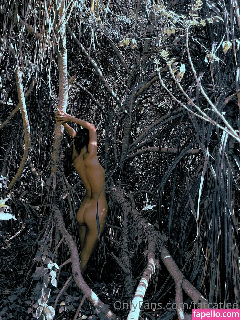 fatcatlee Onlyfans Photo Gallery 