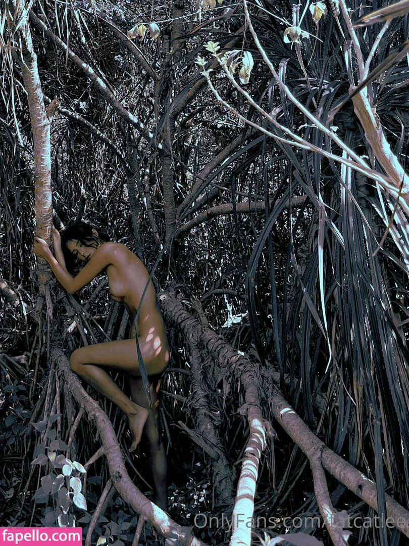 fatcatlee Onlyfans Photo Gallery 