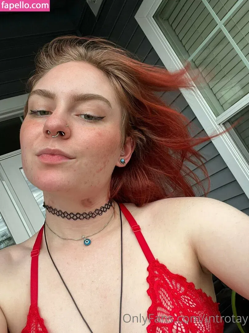 introtay Onlyfans Photo Gallery 