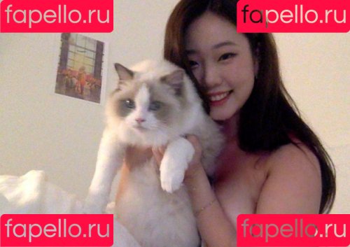 Kim Schiele Onlyfans Photo Gallery 