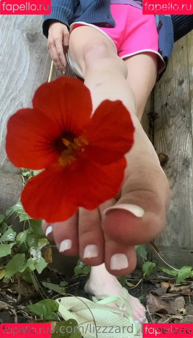 lizgizzardfree Onlyfans Photo Gallery 