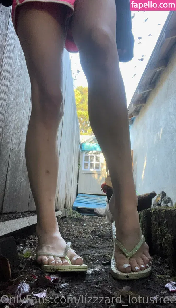 lizgizzardfree Onlyfans Photo Gallery 