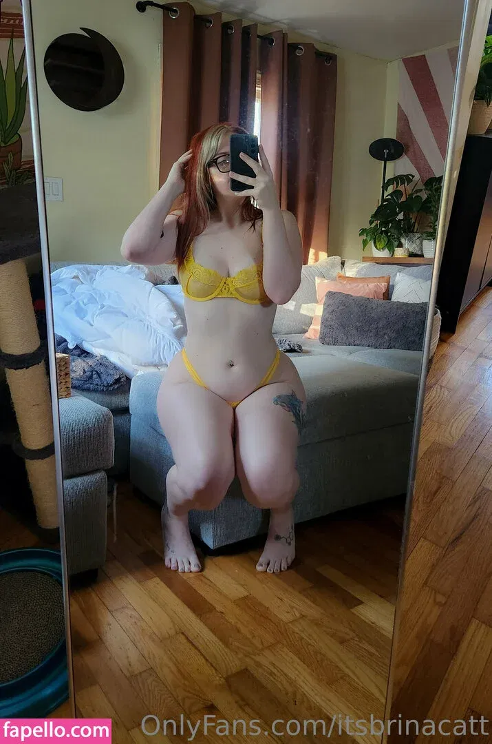 itsbrinacatt Onlyfans Photo Gallery 