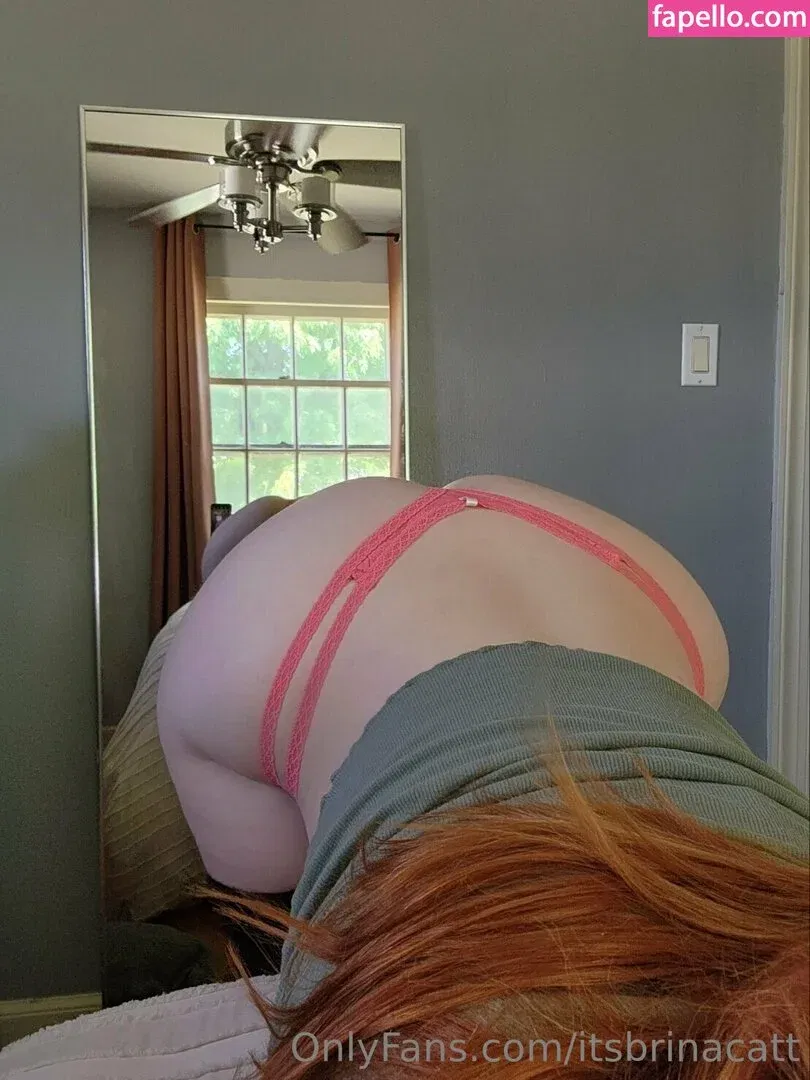 itsbrinacatt Onlyfans Photo Gallery 