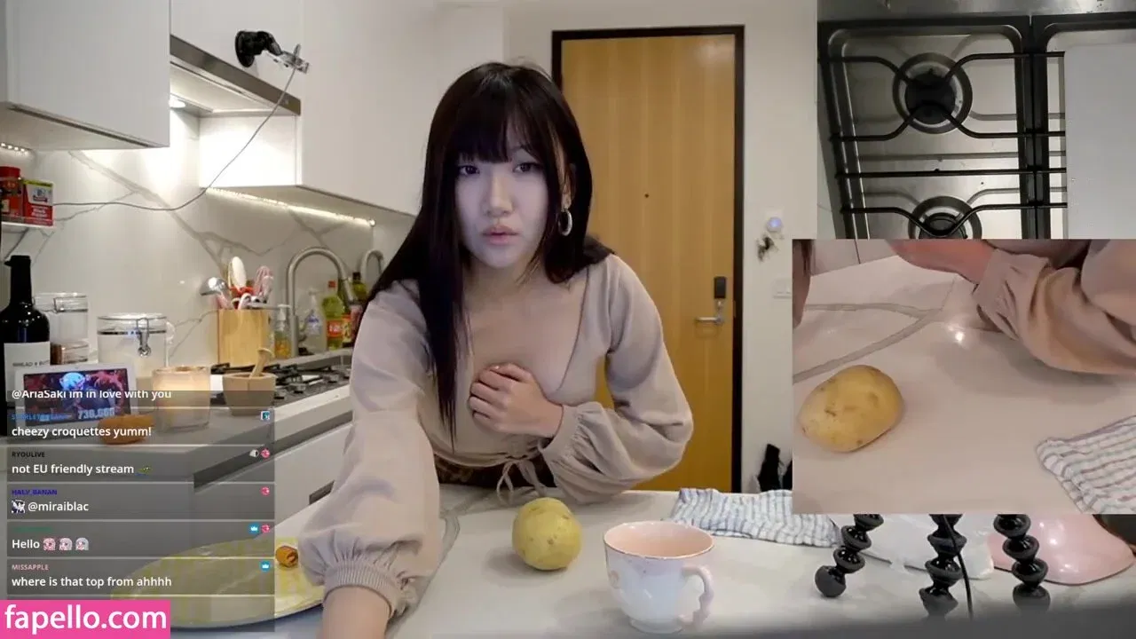 AriaSaki Onlyfans Photo Gallery 