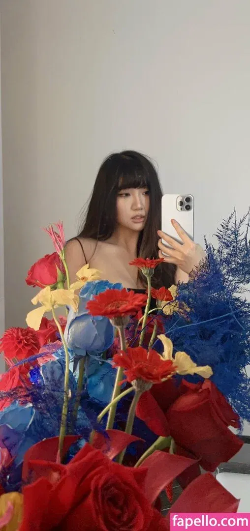 AriaSaki Onlyfans Photo Gallery 