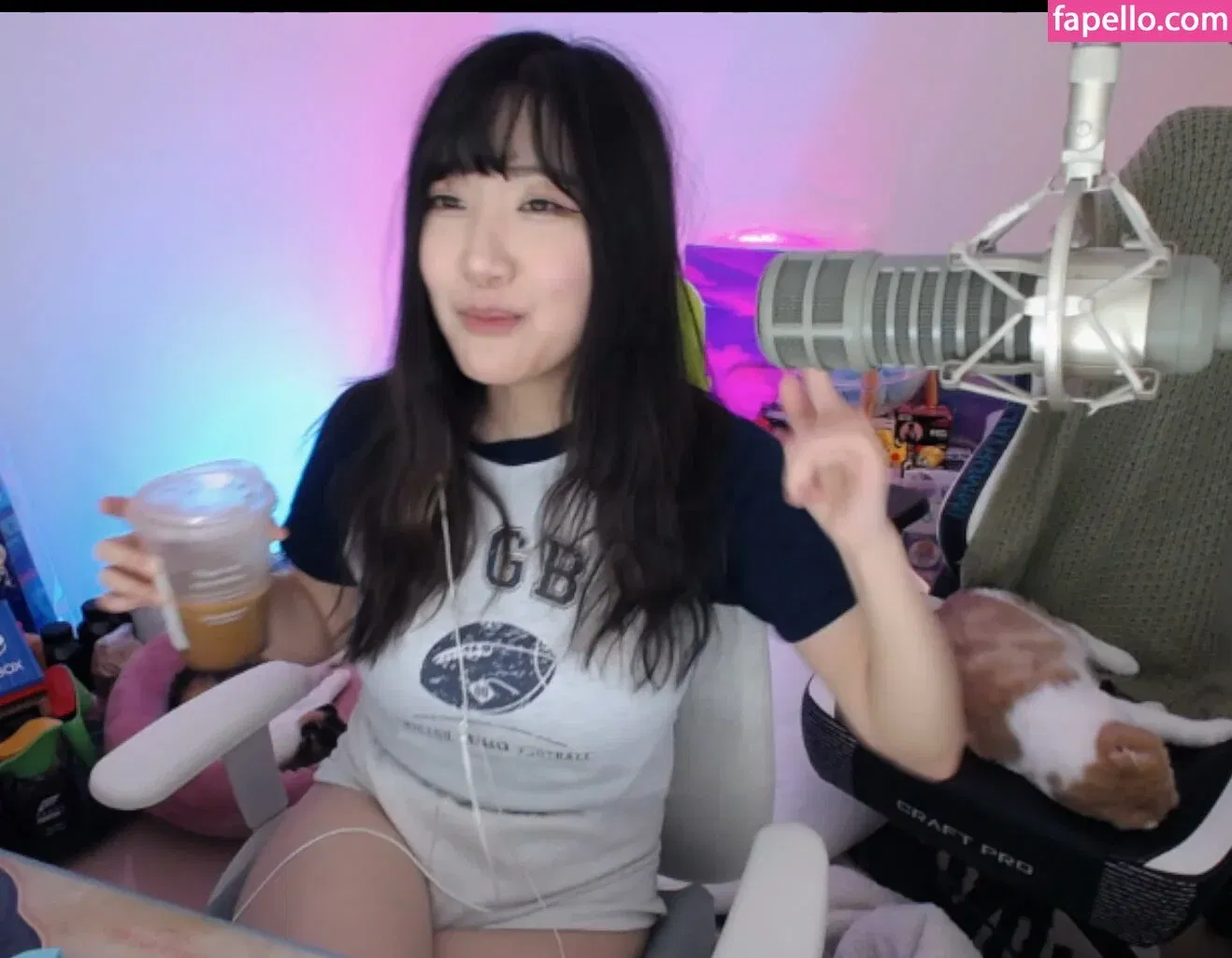 AriaSaki Onlyfans Photo Gallery 