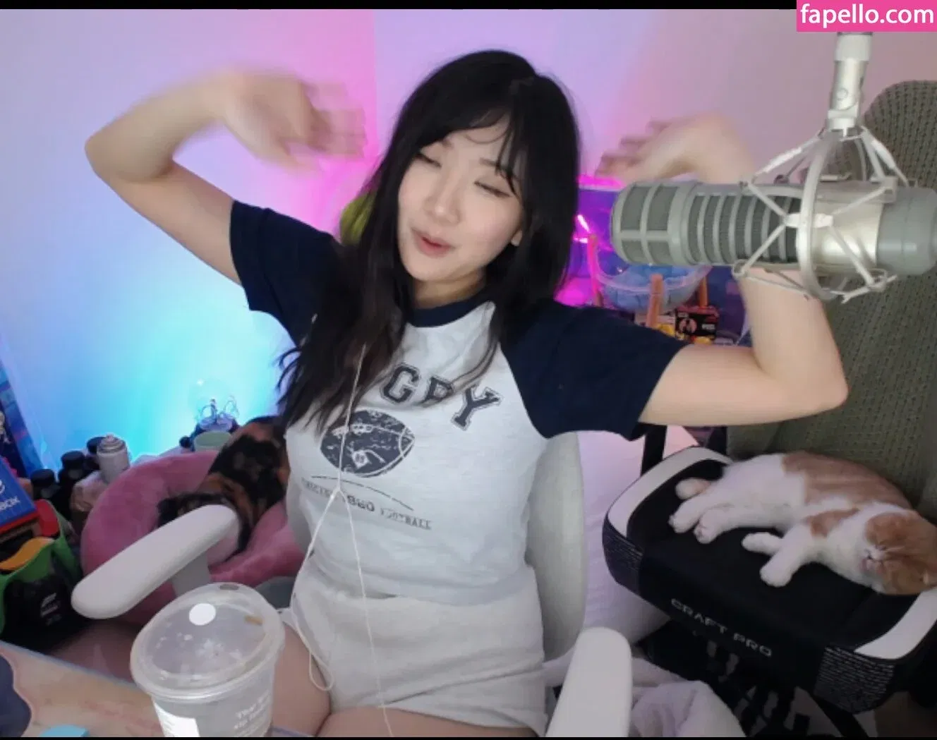 AriaSaki Onlyfans Photo Gallery 