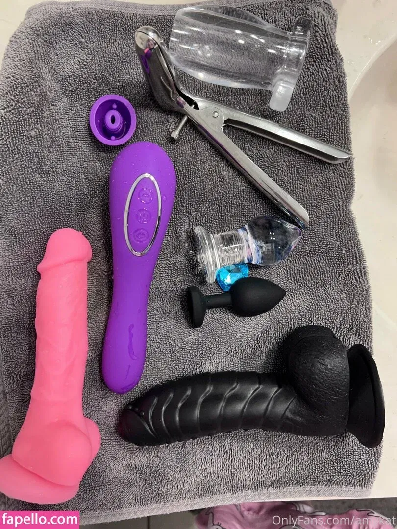 amykat Onlyfans Photo Gallery 