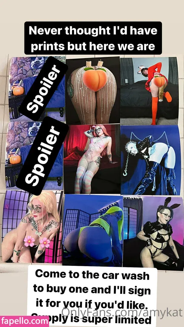 amykat Onlyfans Photo Gallery 