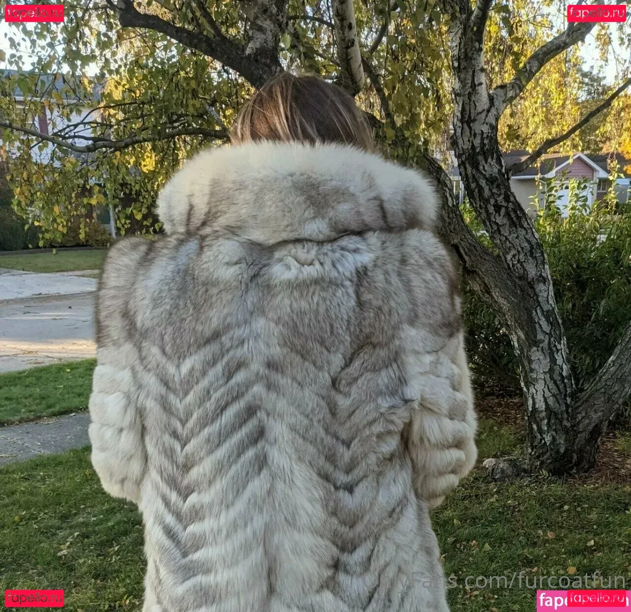 furcoatlove Onlyfans Photo Gallery 
