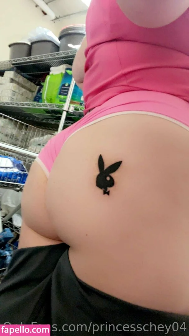 princesschey04 Nude Onlyfans Photo 40