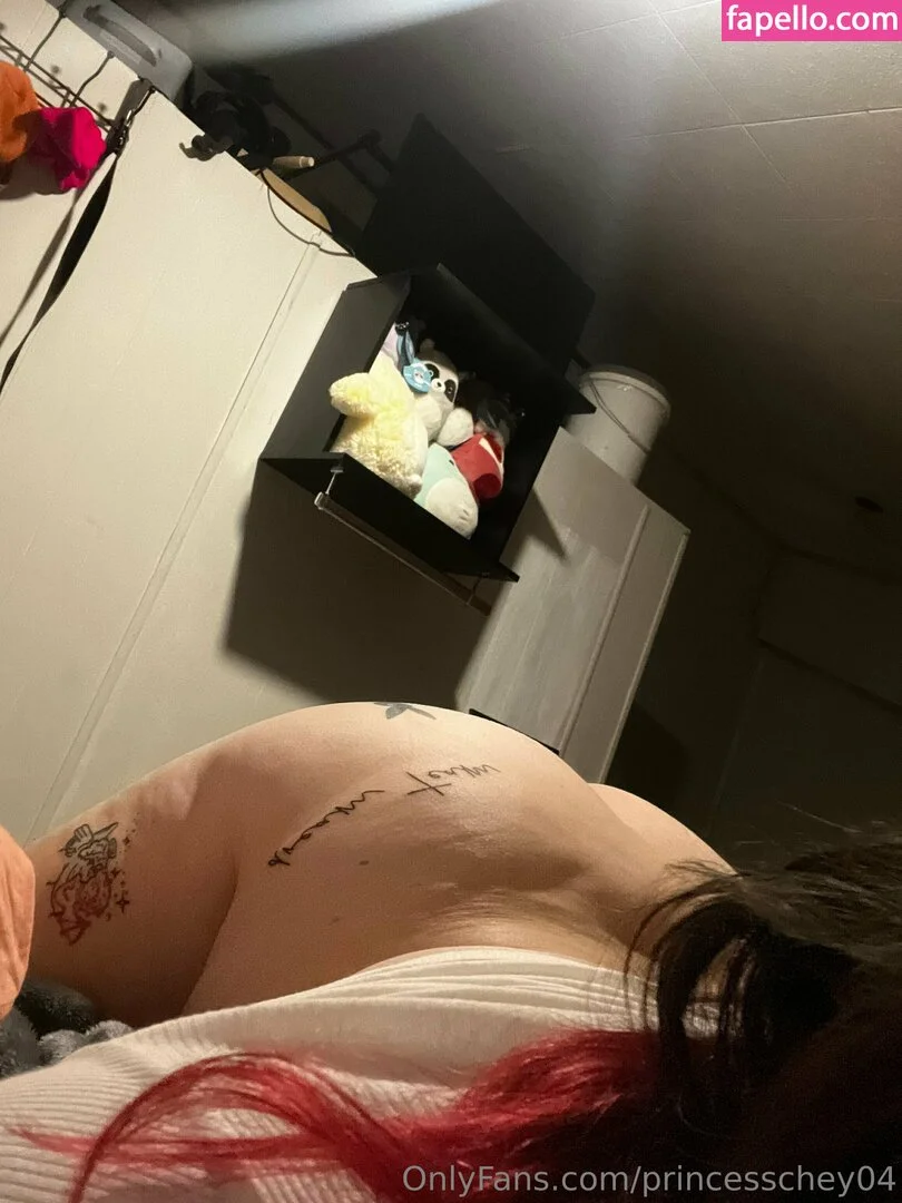 princesschey04 Nude Onlyfans Photo 17