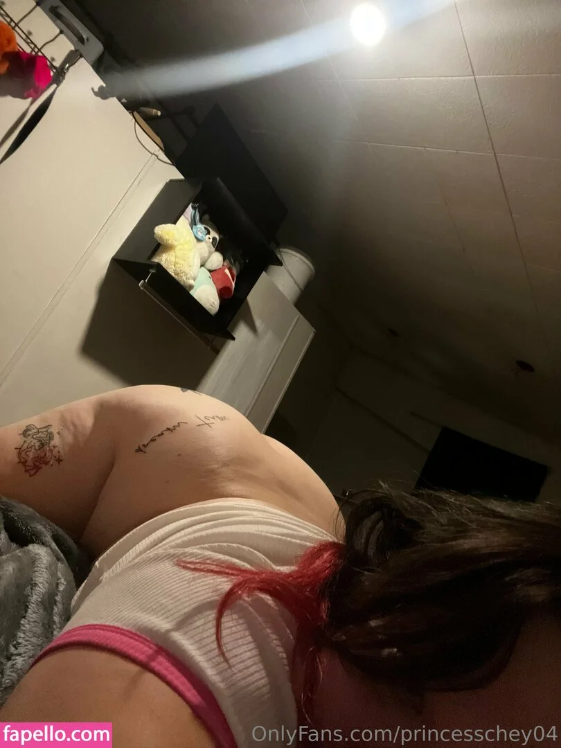 princesschey04 Nude Onlyfans Photo 15
