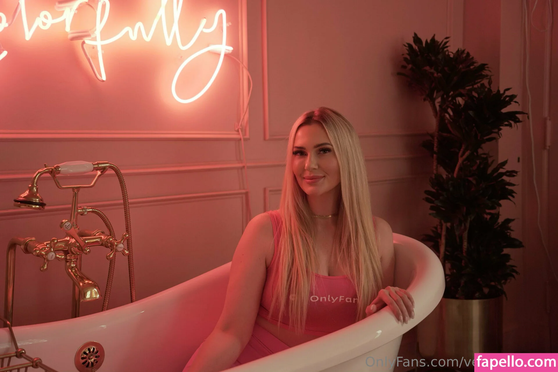 veryhotvocab Onlyfans Photo Gallery 