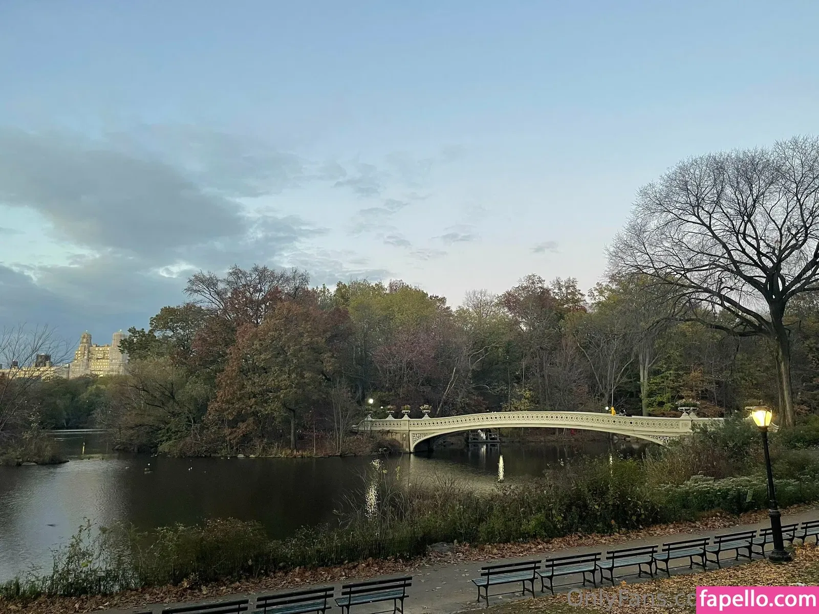 evieling Onlyfans Photo Gallery 