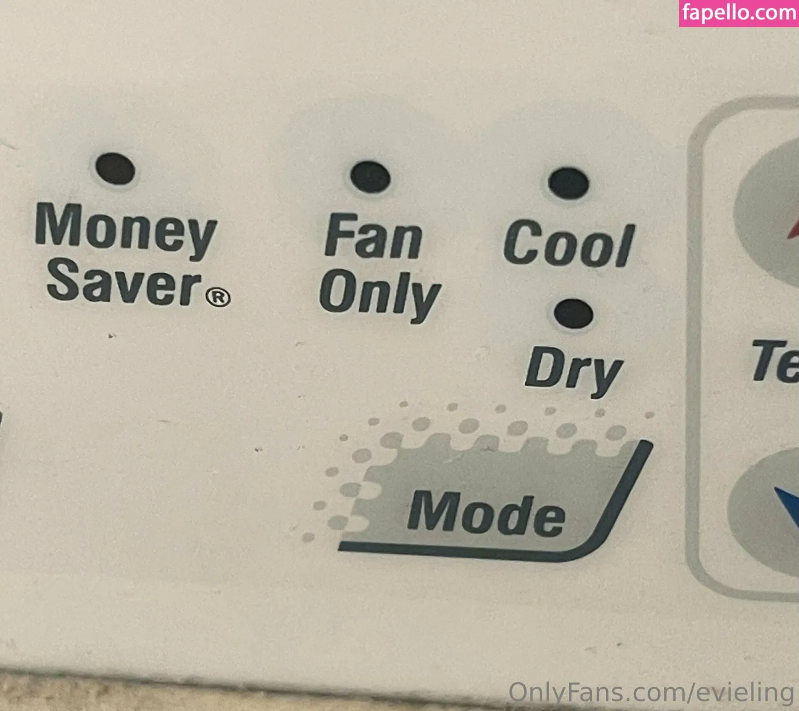 evieling Onlyfans Photo Gallery 