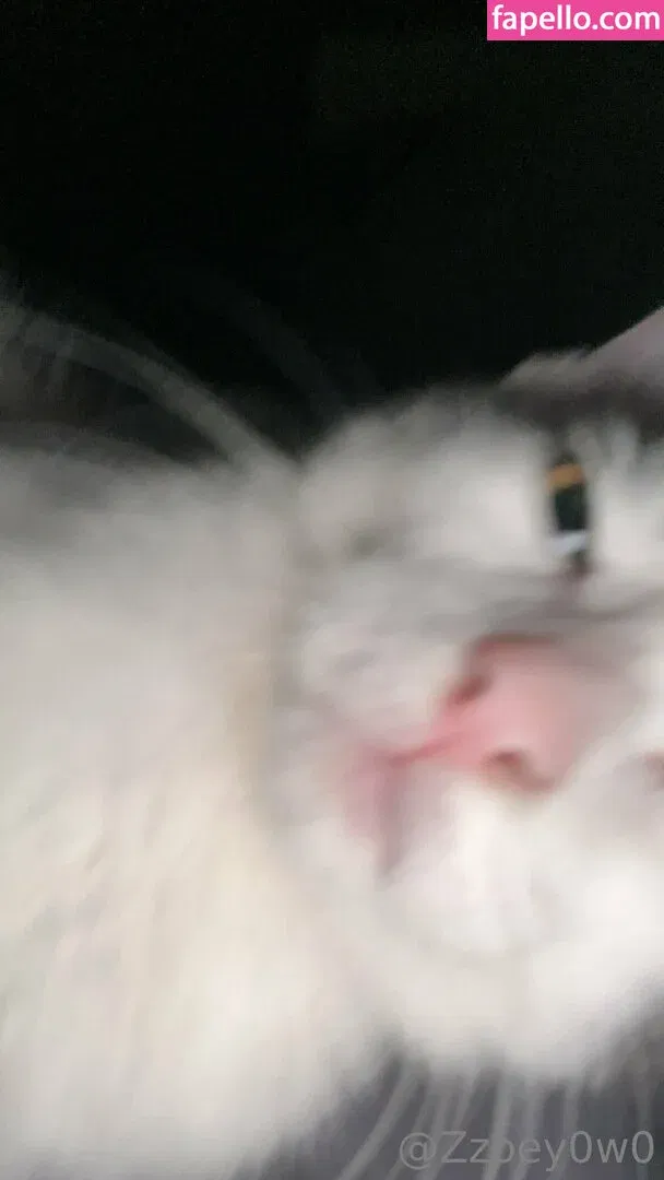 saber_butt Onlyfans Photo Gallery 