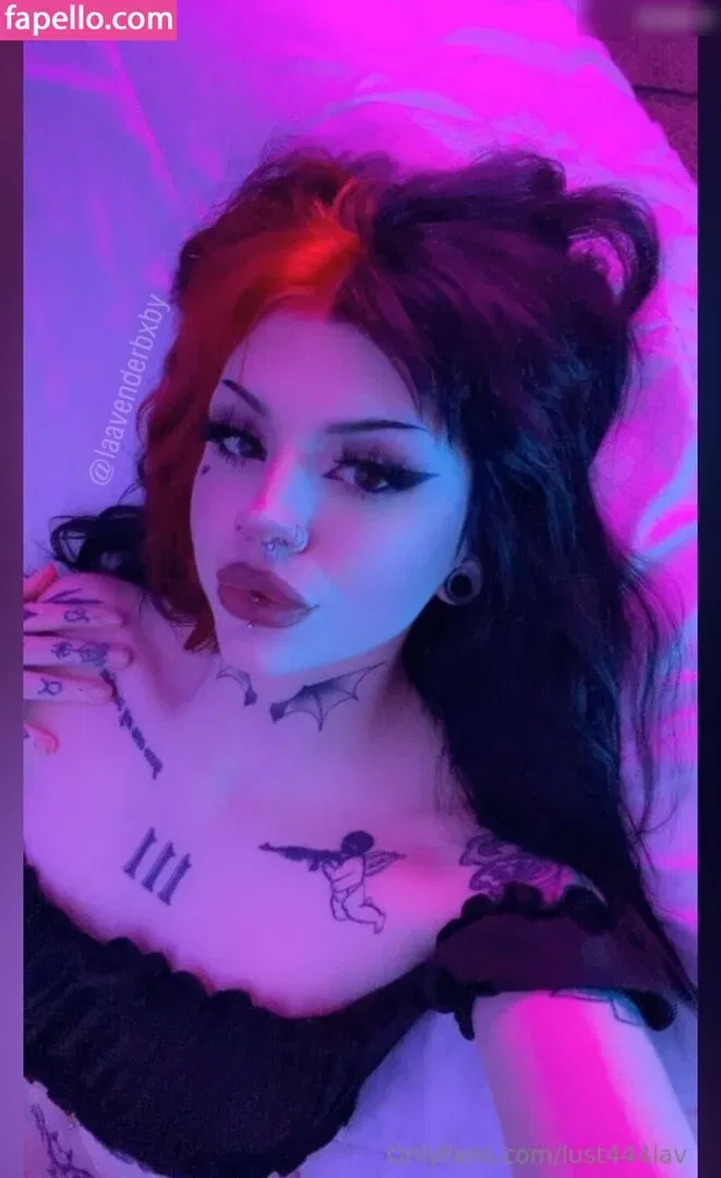 Laavenderbxby Onlyfans Photo Gallery 