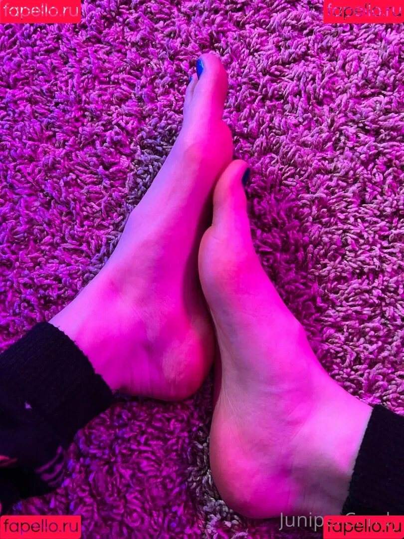 sugartime Onlyfans Photo Gallery 