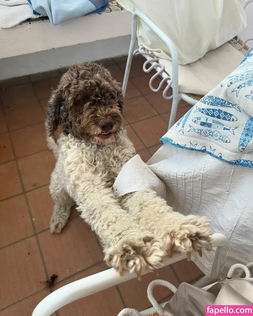 Jori Delli Onlyfans Photo Gallery 