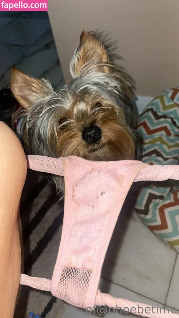 Phoebe Price Onlyfans Photo Gallery 