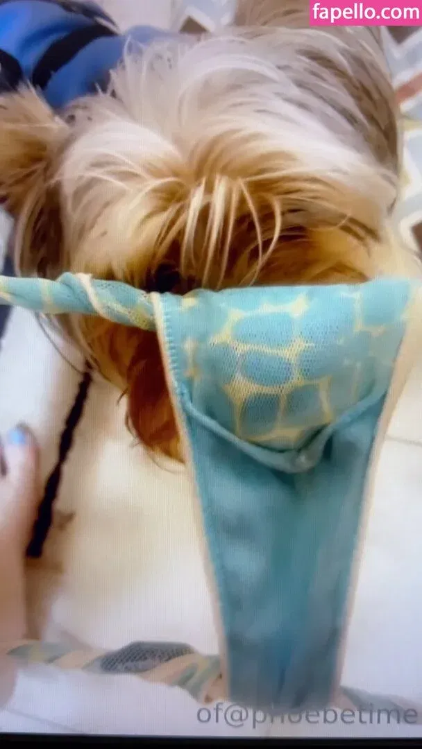 Phoebe Price Onlyfans Photo Gallery 