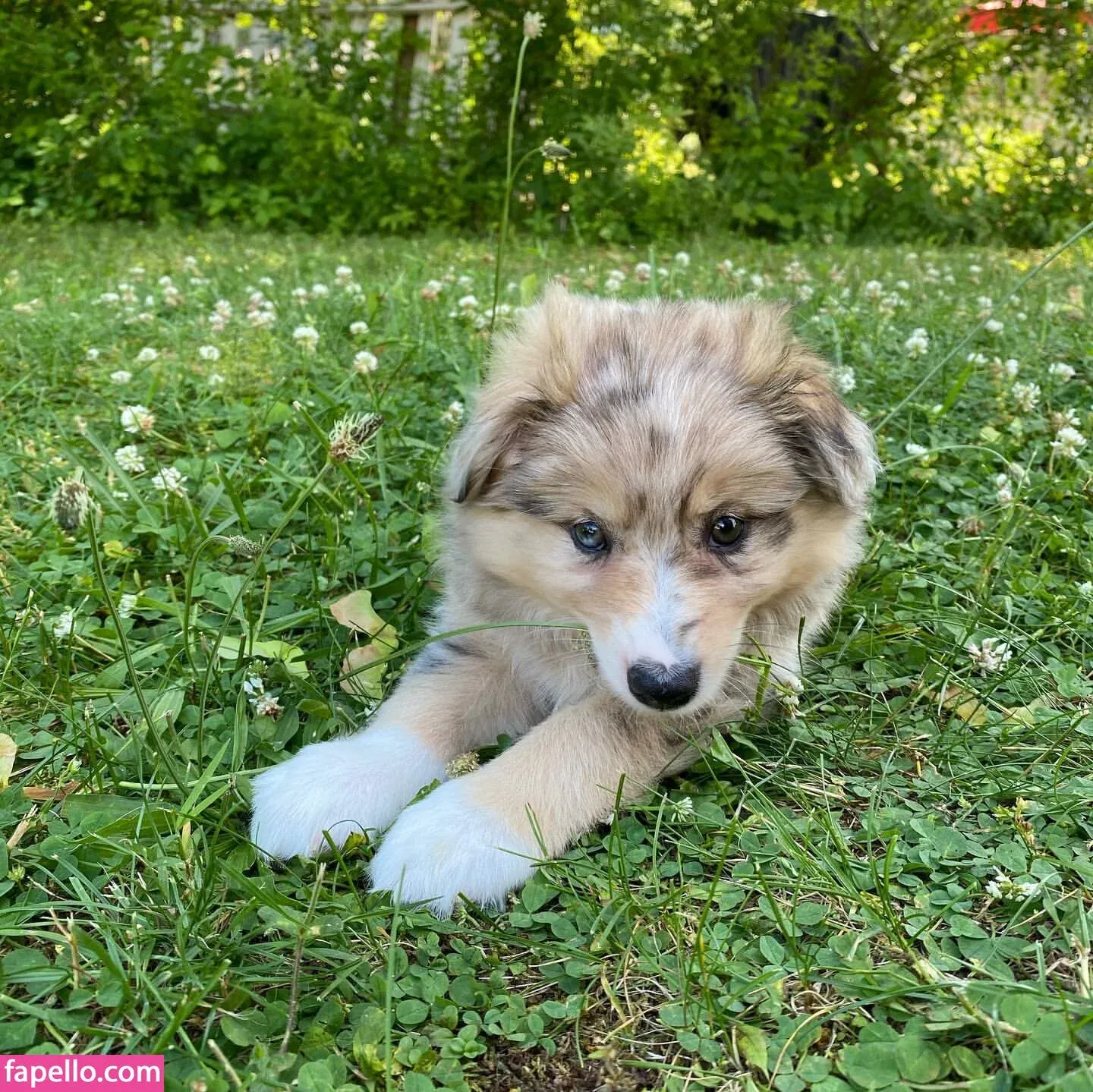 Nicole A Foster Onlyfans Photo Gallery 