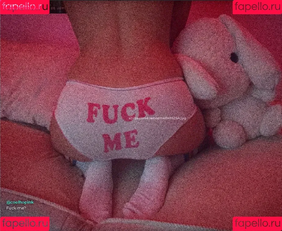 Coelho__pink Onlyfans Photo Gallery 