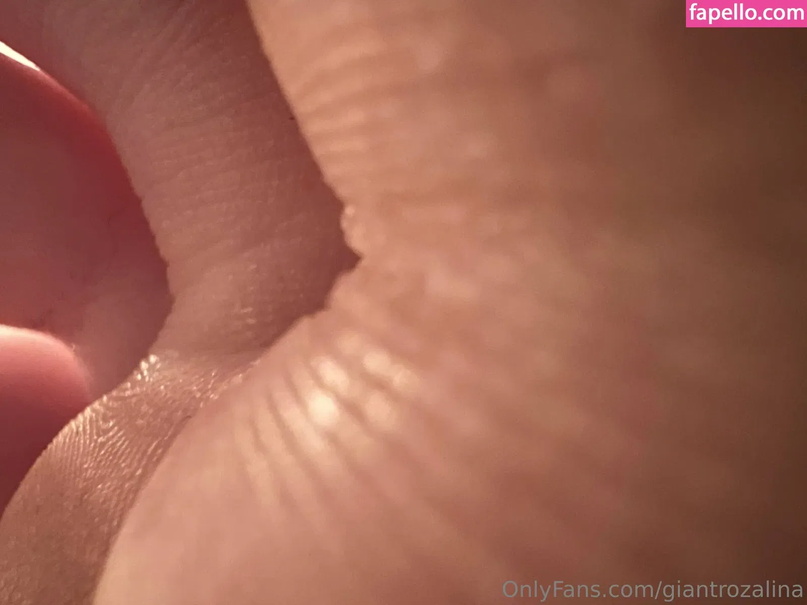 giantrozalina Onlyfans Photo Gallery 