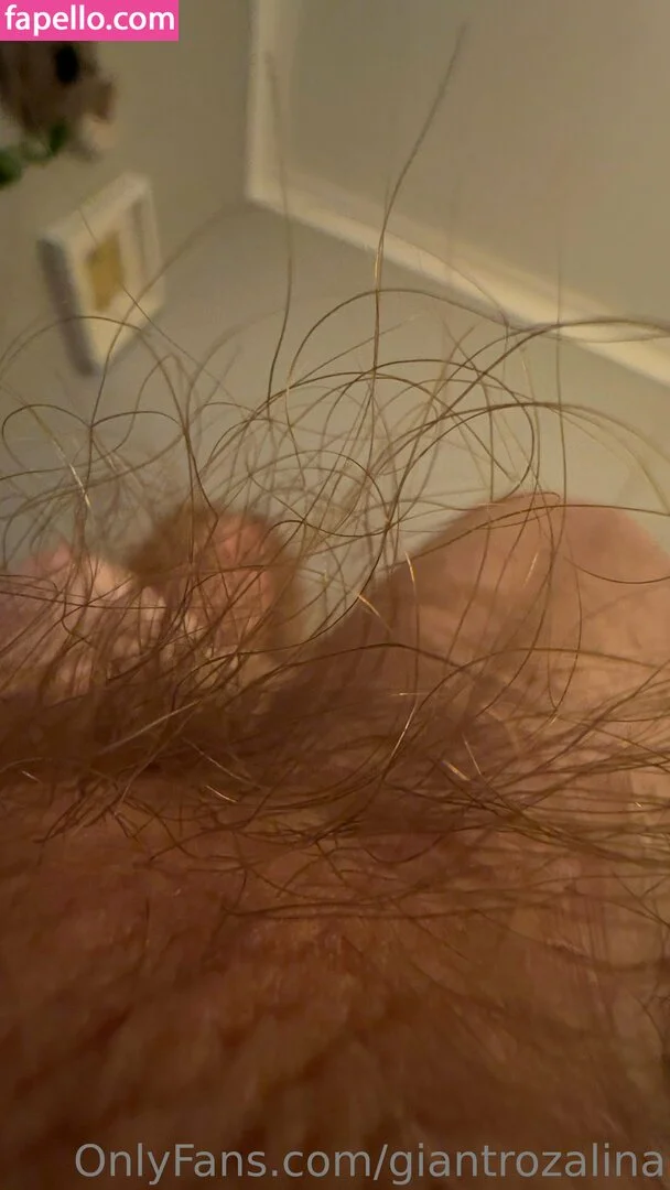 giantrozalina Onlyfans Photo Gallery 